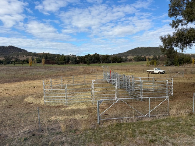 Cattle Yard 20 Head