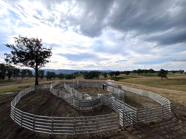 550 Head Cattle Yard
