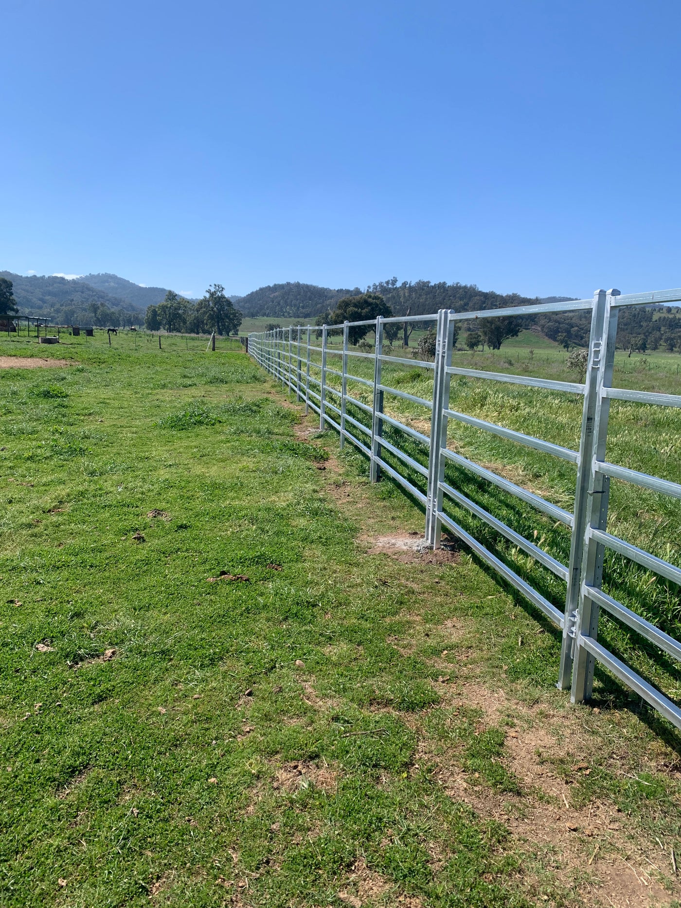 Cattle Permanent Post