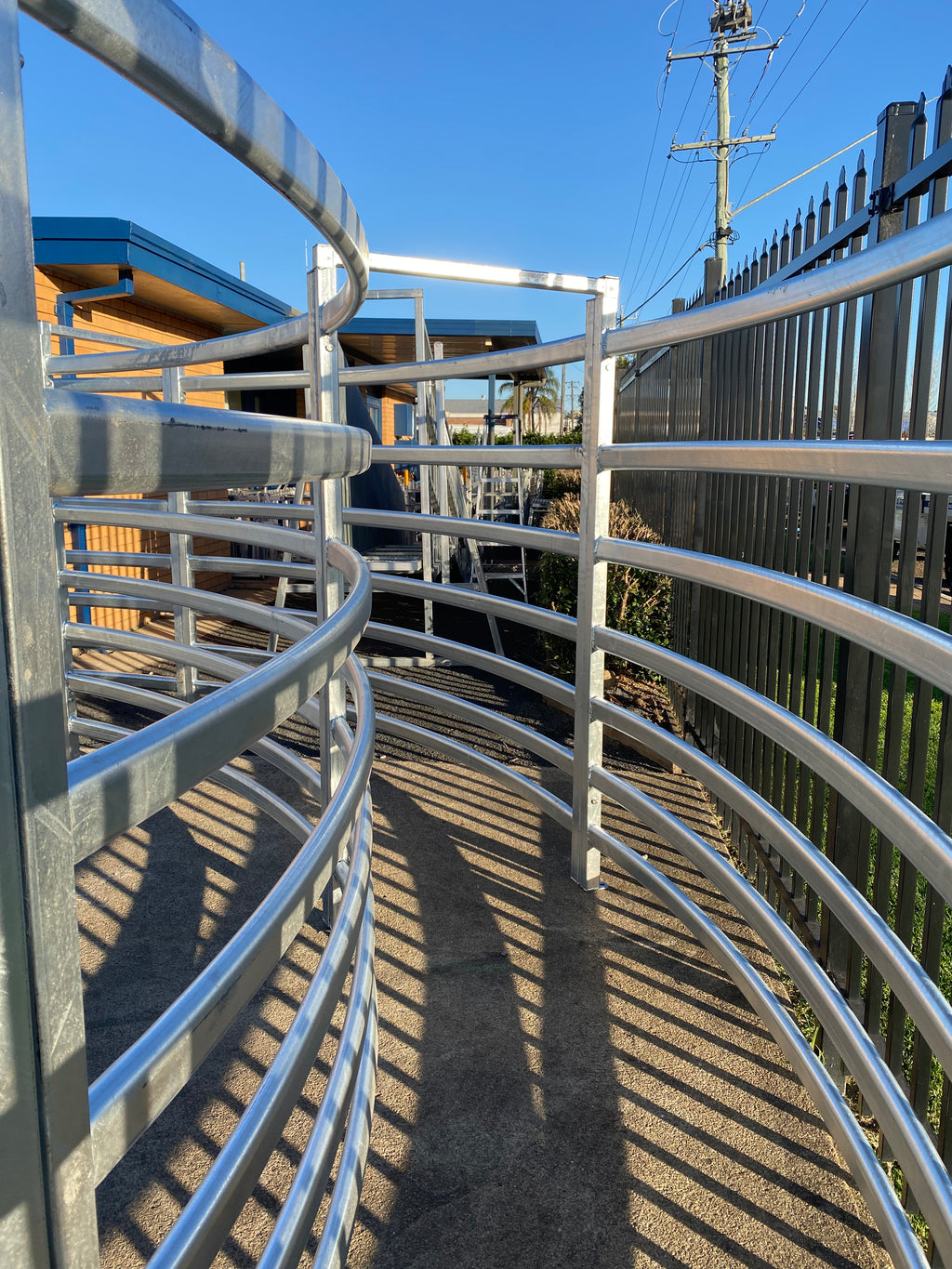 Cattle 6m diameter curved race HOT DIPPED GAL