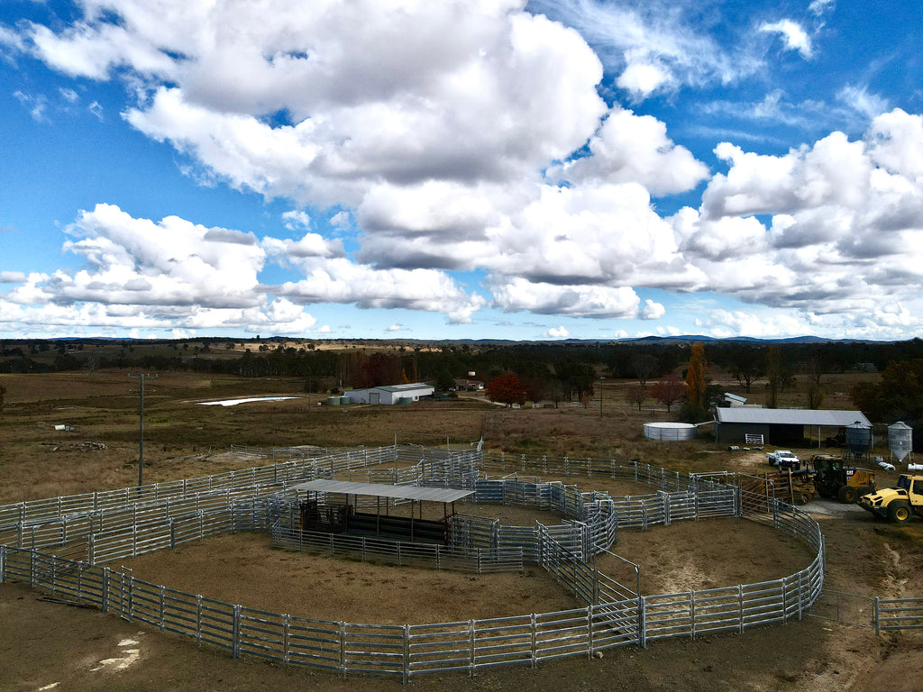 550 Head Cattle Yard