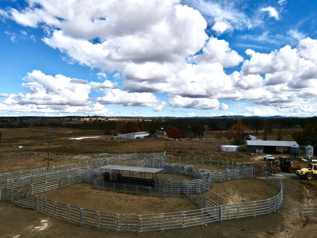 550 Head Cattle Yard