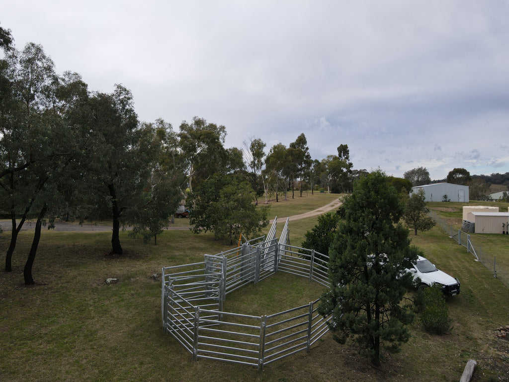 12 Head Cattle Yard