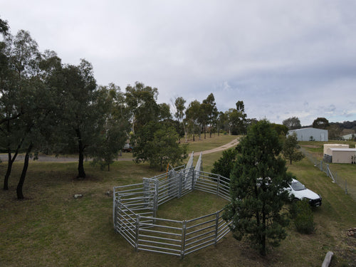 12 Head Cattle Yard