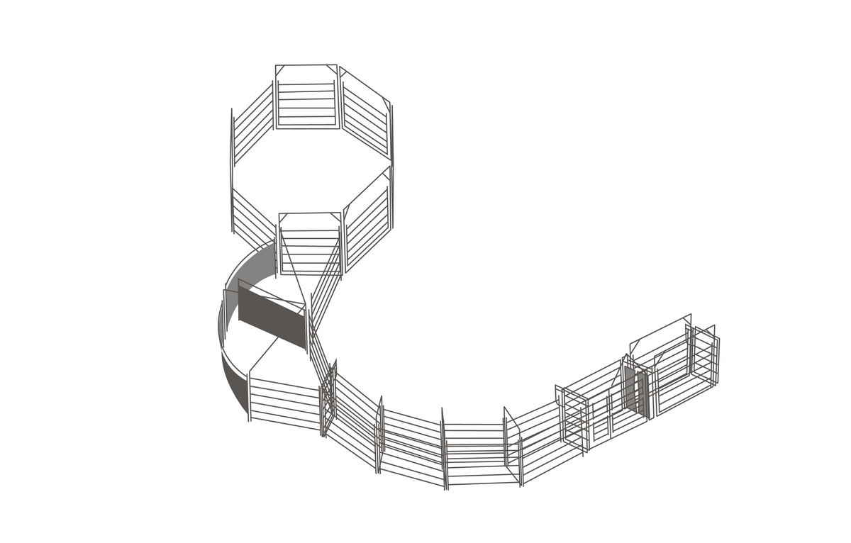 Pound, Safety Force and Curved Race