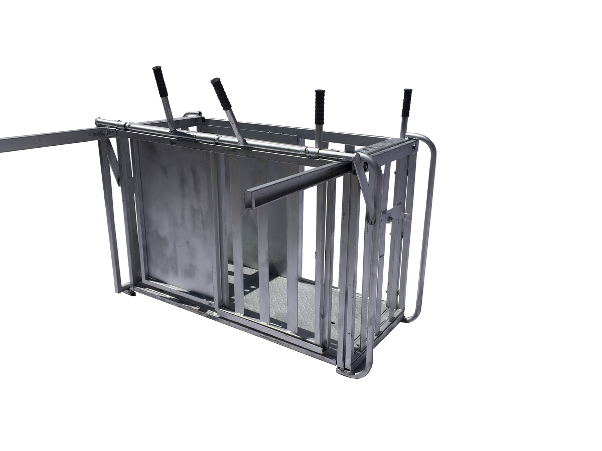 Sheep weigh crate and 3 way draft